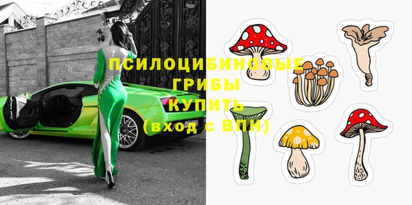 бутират Армянск